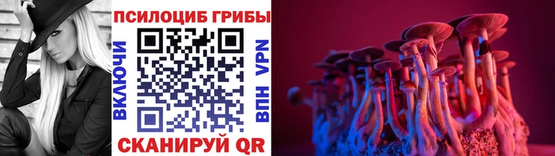 дарк нет телеграм  наркошоп  Брянск  Псилоцибиновые грибы Cubensis 